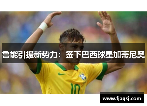 鲁能引援新势力：签下巴西球星加蒂尼奥